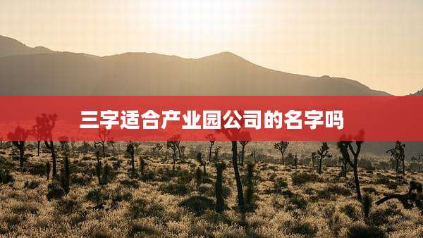 三字适合产业园公司的名字吗