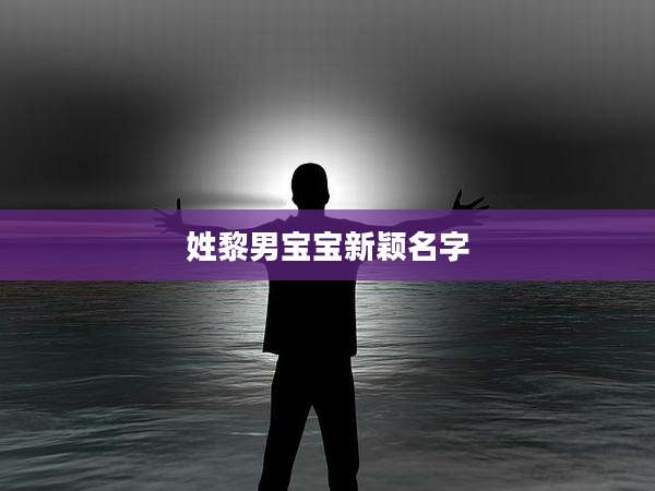姓黎男宝宝新颖名字