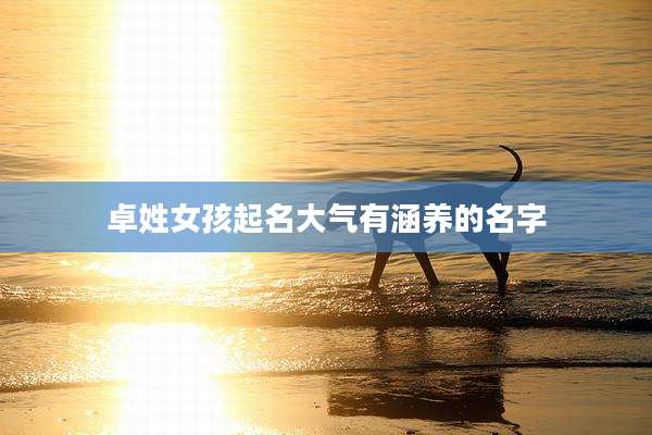 卓姓女孩起名大气有涵养的名字