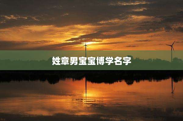 姓章男宝宝博学名字