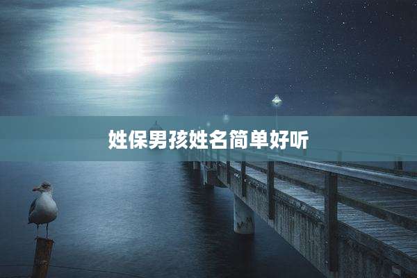 姓保男孩姓名简单好听