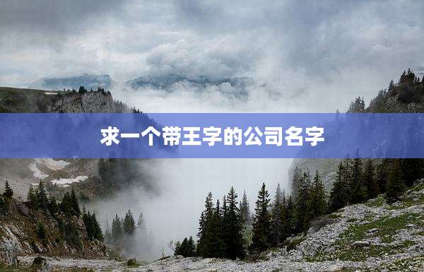 求一个带王字的公司名字