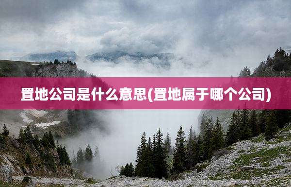 置地公司是什么意思(置地属于哪个公司)