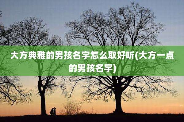 大方典雅的男孩名字怎么取好听(大方一点的男孩名字)