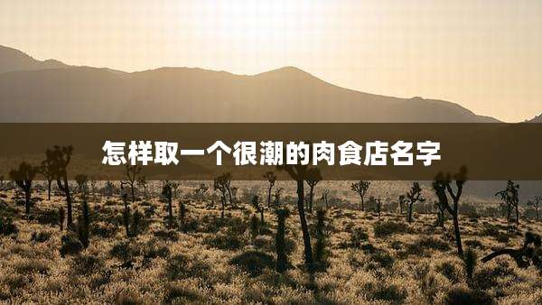怎样取一个很潮的肉食店名字