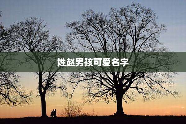 姓赵男孩可爱名字
