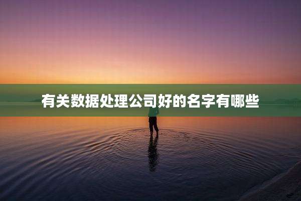 有关数据处理公司好的名字有哪些