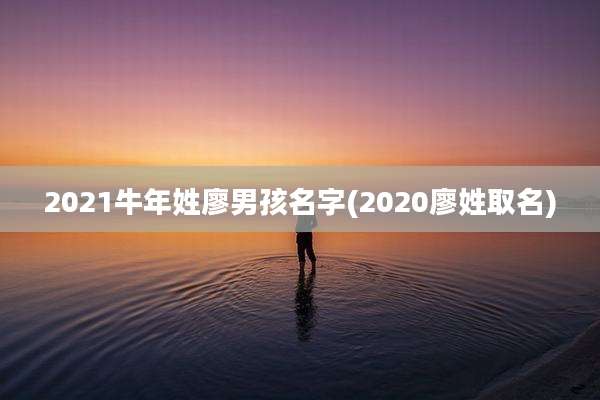 2021牛年姓廖男孩名字(2020廖姓取名)