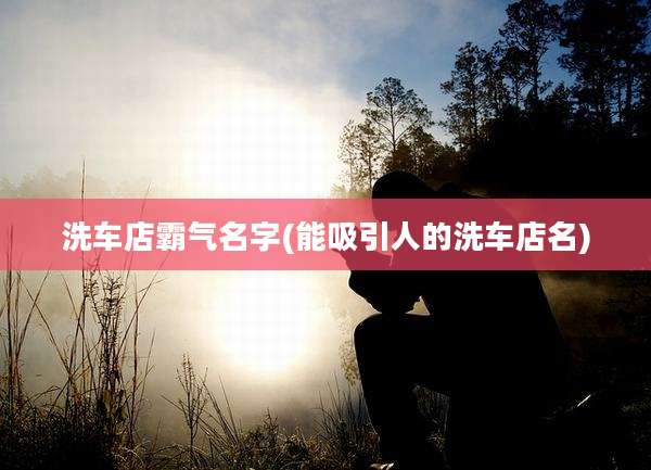 洗车店霸气名字(能吸引人的洗车店名)