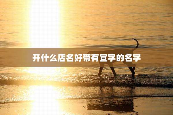开什么店名好带有宜字的名字