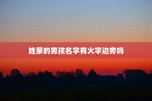 姓蒙的男孩名字有火字边旁吗