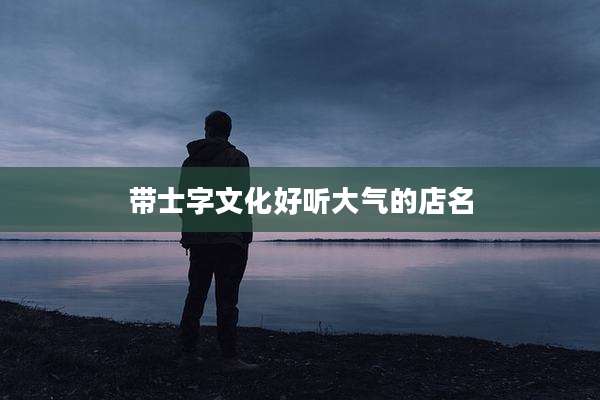 带士字文化好听大气的店名