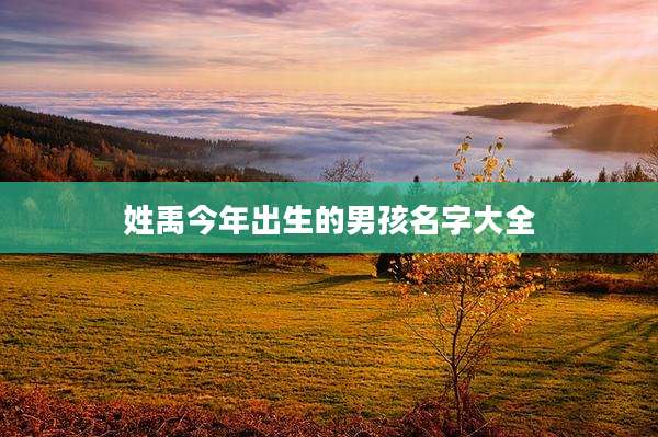 姓禹今年出生的男孩名字大全