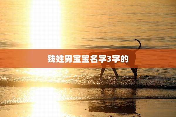 钱姓男宝宝名字3字的