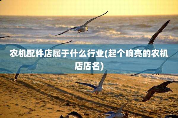 农机配件店属于什么行业(起个响亮的农机店店名)