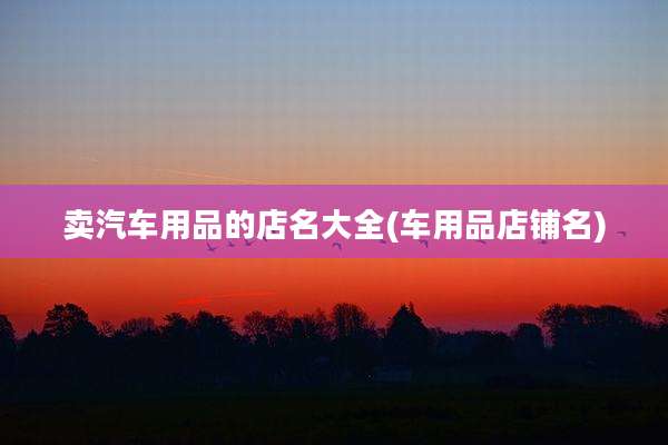 卖汽车用品的店名大全(车用品店铺名)