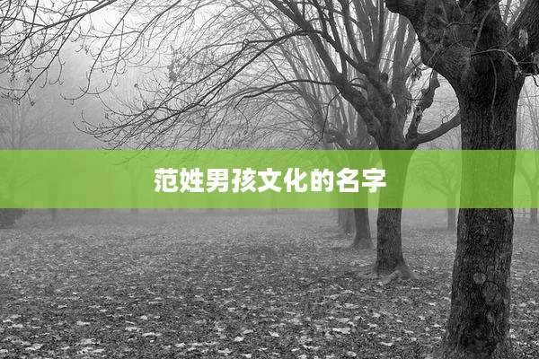 范姓男孩文化的名字