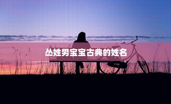 丛姓男宝宝古典的姓名