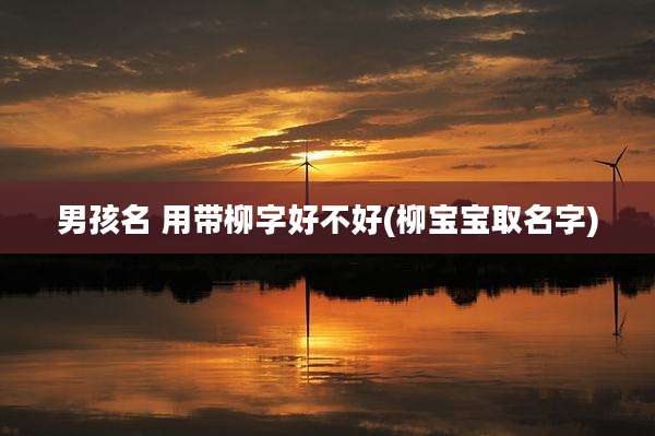 男孩名 用带柳字好不好(柳宝宝取名字)