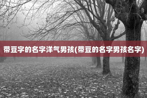 带豆字的名字洋气男孩(带豆的名字男孩名字)