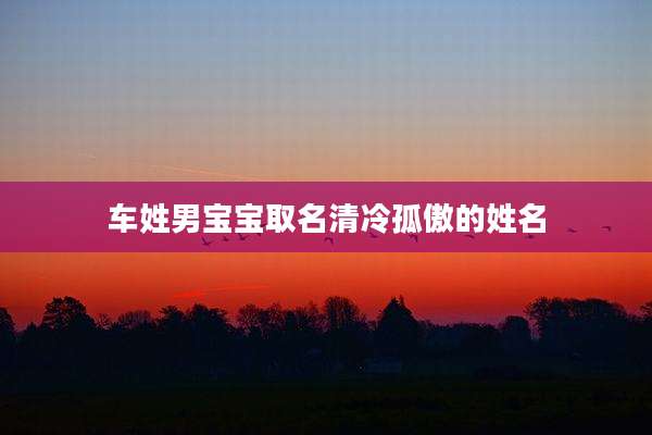 车姓男宝宝取名清冷孤傲的姓名