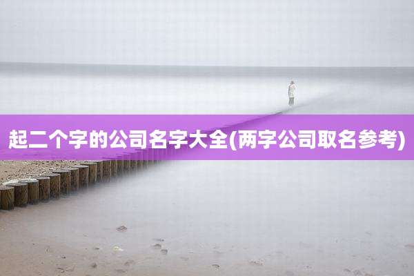 起二个字的公司名字大全(两字公司取名参考)