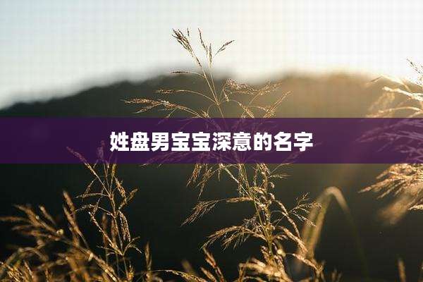 姓盘男宝宝深意的名字