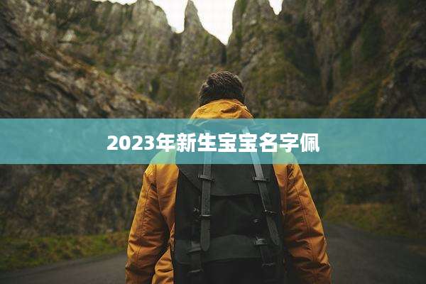 2023年新生宝宝名字佩