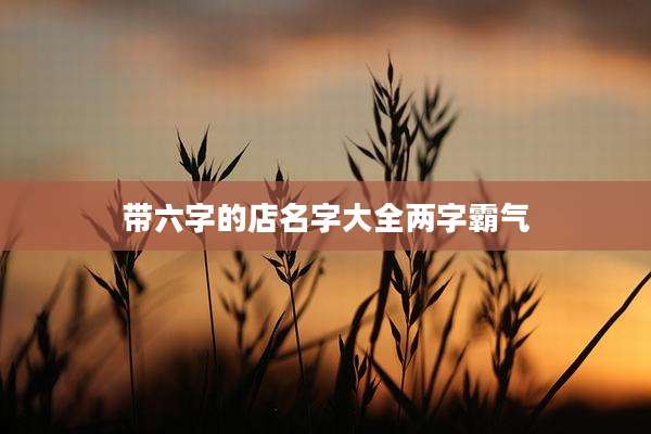 带六字的店名字大全两字霸气