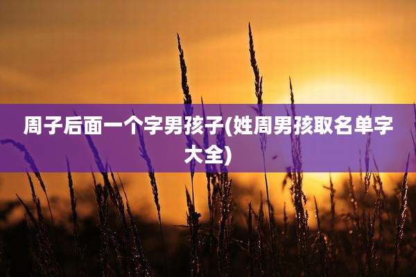 周子后面一个字男孩子(姓周男孩取名单字大全)