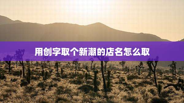 用创字取个新潮的店名怎么取
