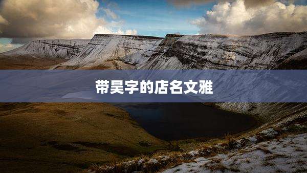 带昊字的店名文雅