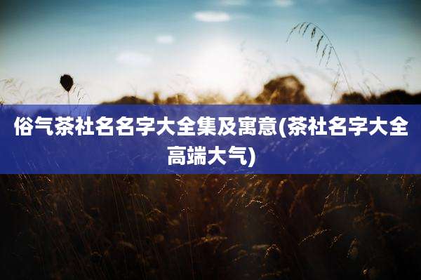 俗气茶社名名字大全集及寓意(茶社名字大全高端大气)