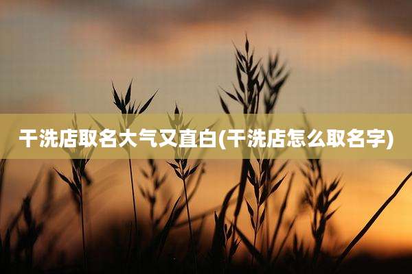 干洗店取名大气又直白(干洗店怎么取名字)