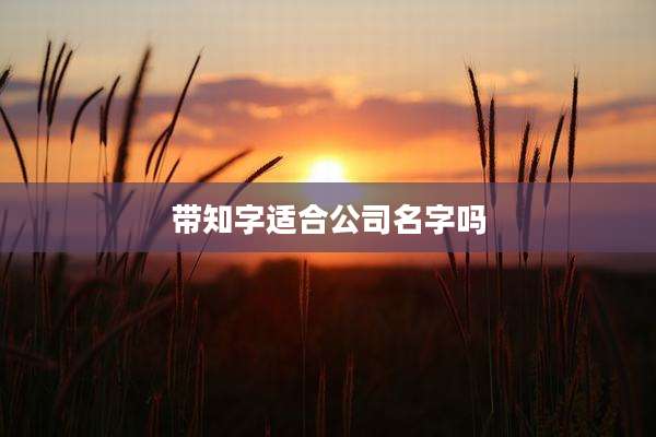 带知字适合公司名字吗