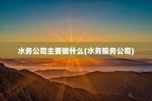 水务公司主要做什么(水务服务公司)