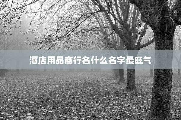 酒店用品商行名什么名字最旺气