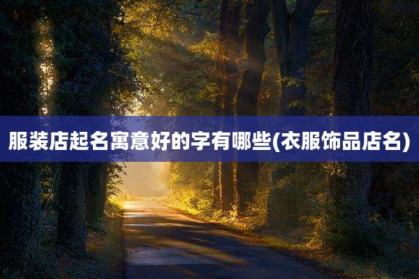 服装店起名寓意好的字有哪些(衣服饰品店名)