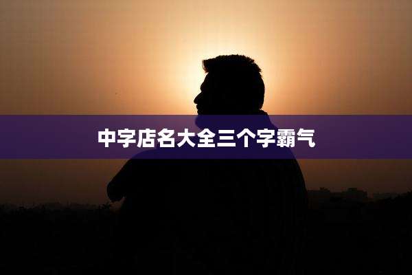 中字店名大全三个字霸气