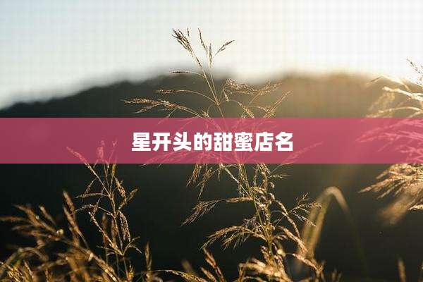星开头的甜蜜店名