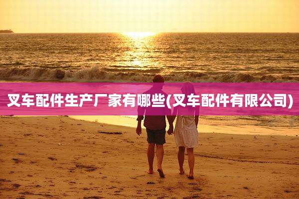 叉车配件生产厂家有哪些(叉车配件有限公司)