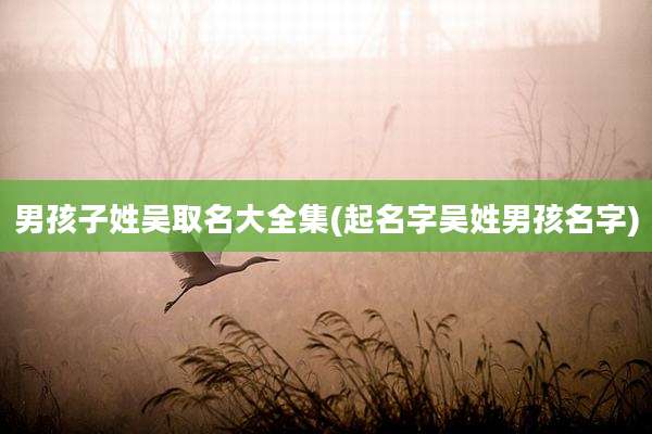 男孩子姓吴取名大全集(起名字吴姓男孩名字)