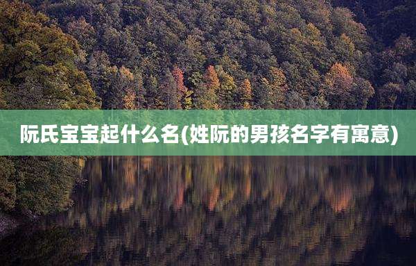 阮氏宝宝起什么名(姓阮的男孩名字有寓意)