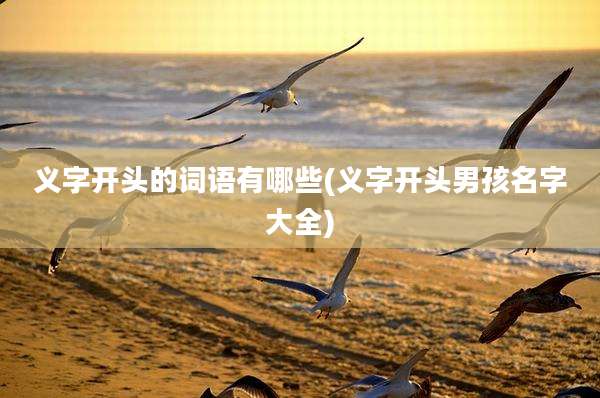 义字开头的词语有哪些(义字开头男孩名字大全)