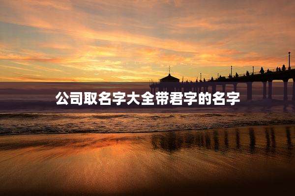公司取名字大全带君字的名字