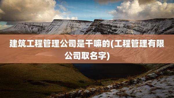 建筑工程管理公司是干嘛的(工程管理有限公司取名字)