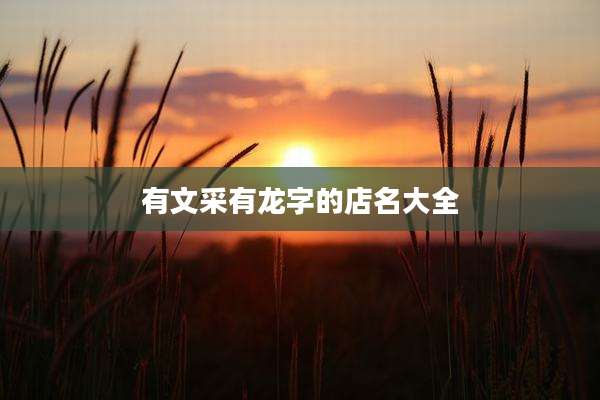 有文采有龙字的店名大全