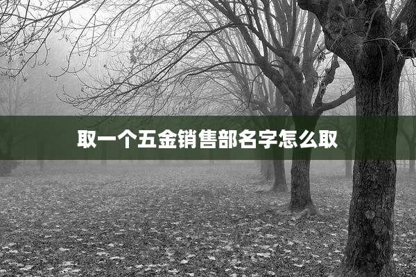 取一个五金销售部名字怎么取