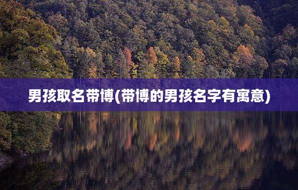 男孩取名带博(带博的男孩名字有寓意)