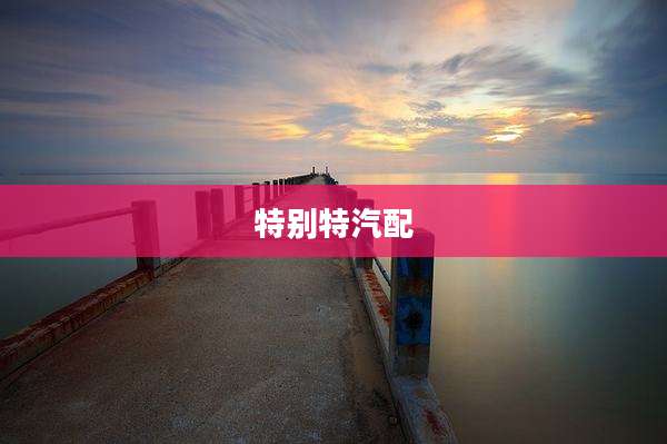 特别特汽配